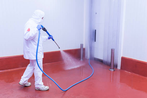 Best Solar Panel Cleaning  in Eastland, TX